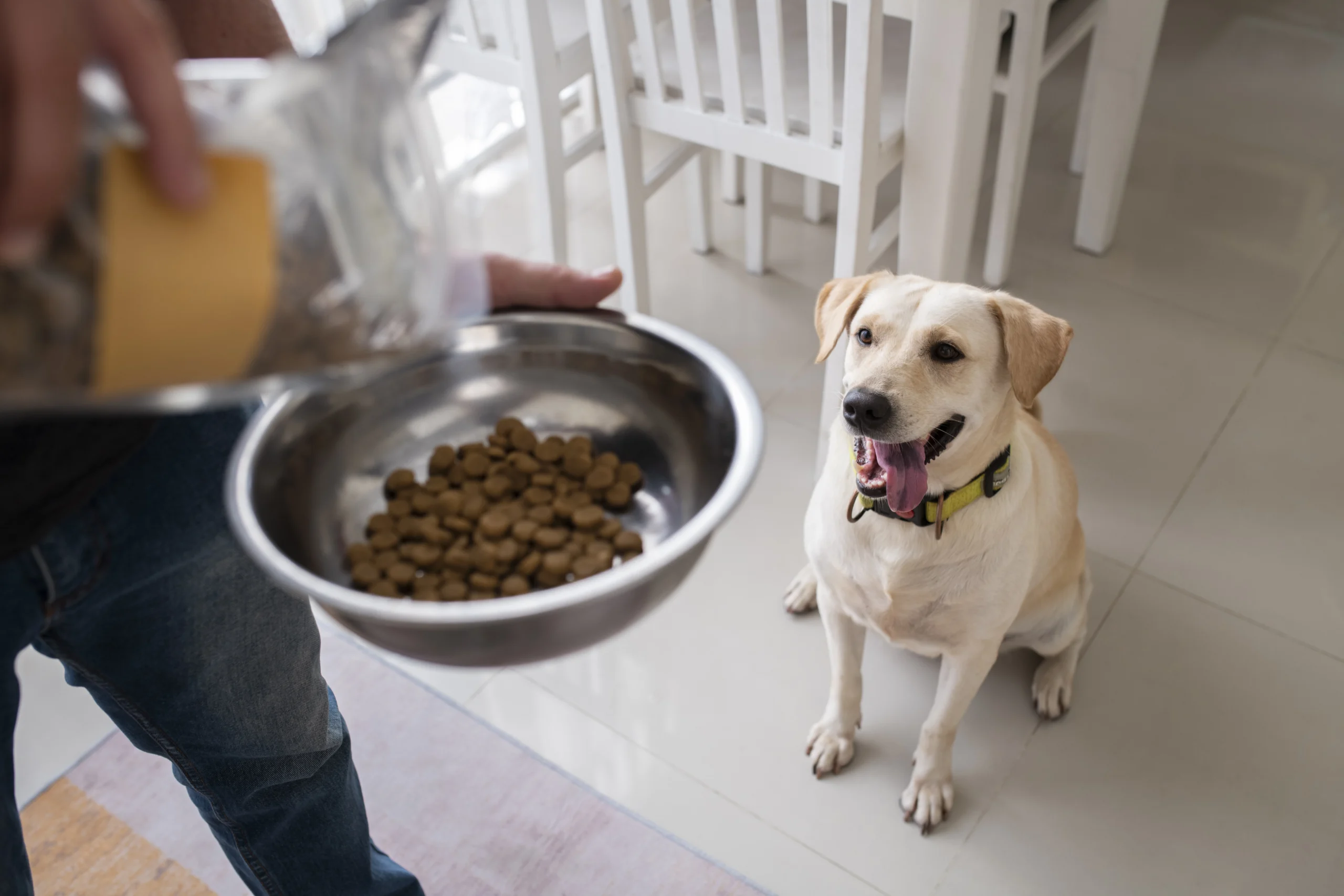 Health Extension dog food