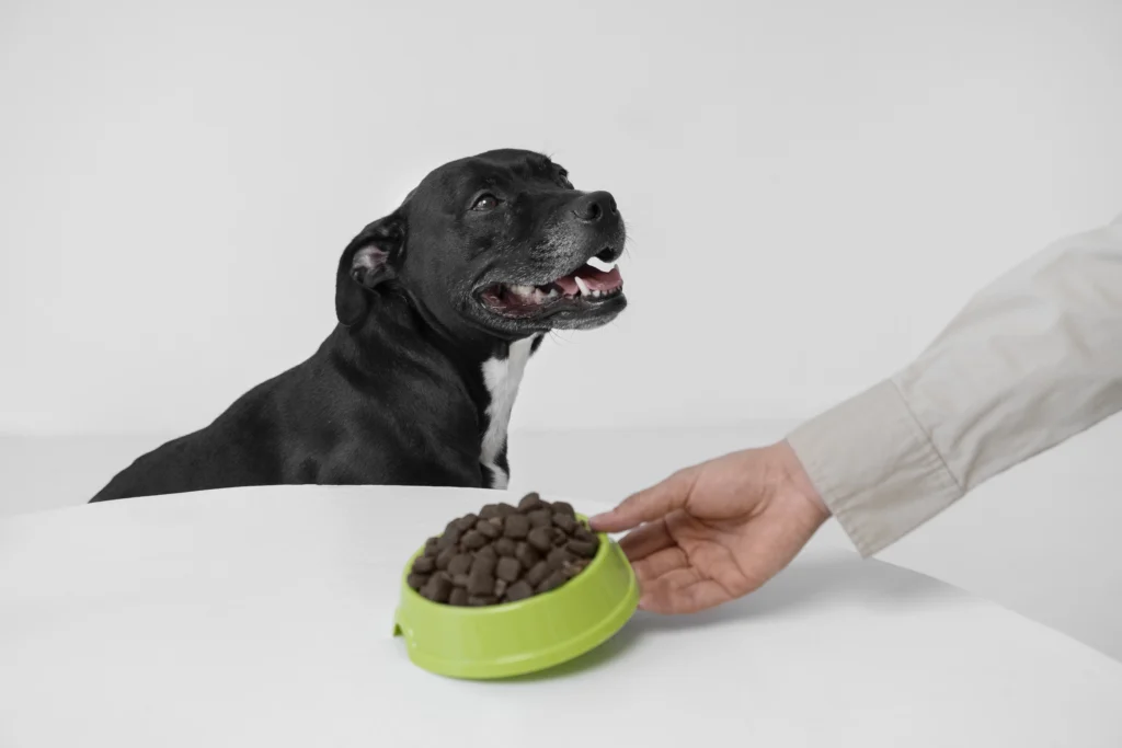 Health Extension Dog Food